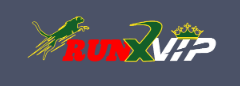 Experience Winning with Runx Bet Your Ultimate Betting Destination