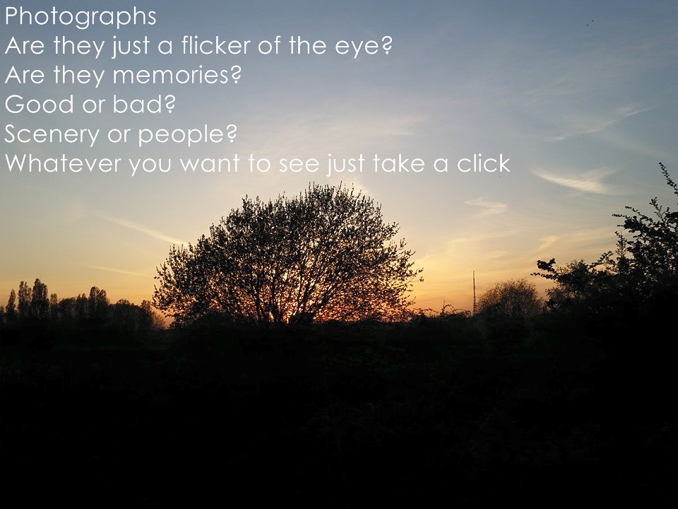 Laugh, Learn, and Connect with QuotePoem 6 Laugh, Learn, and Connect with QuotePoem 6
